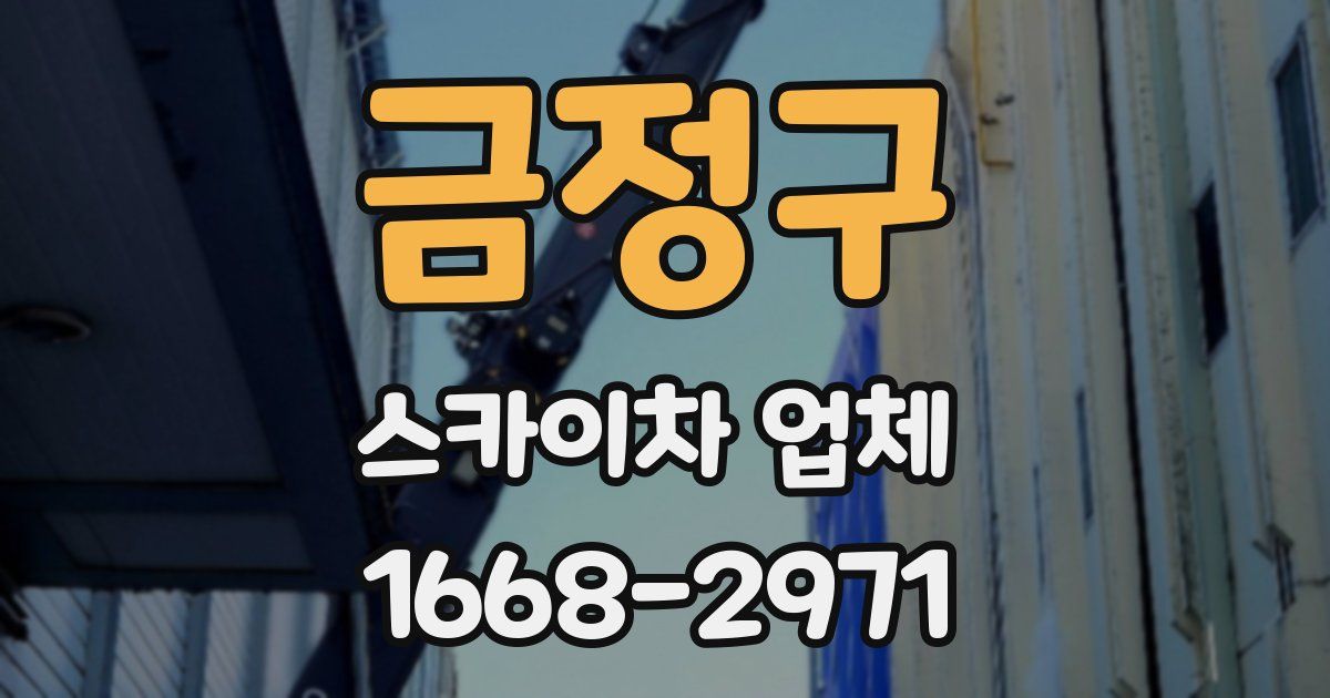 금정구 스카이차 업체
