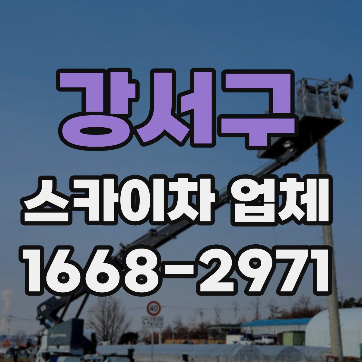 강서구 스카이차 업체