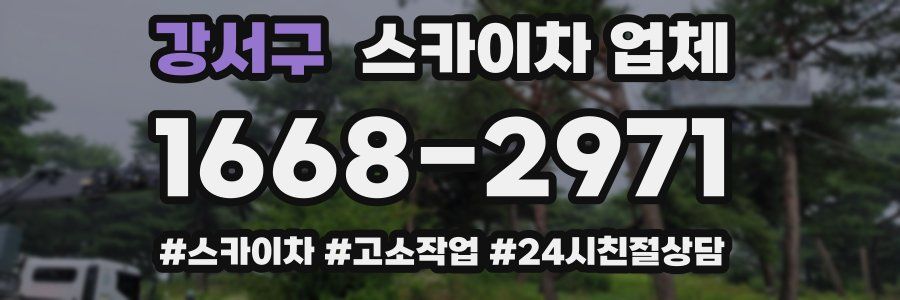 강서구 스카이차 업체