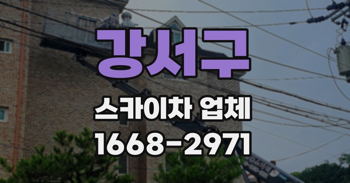 강서구 스카이차 업체