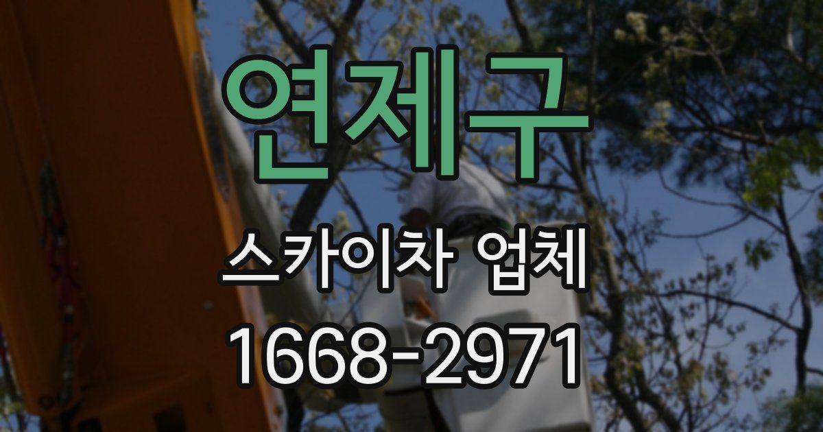 연제구 스카이차 업체