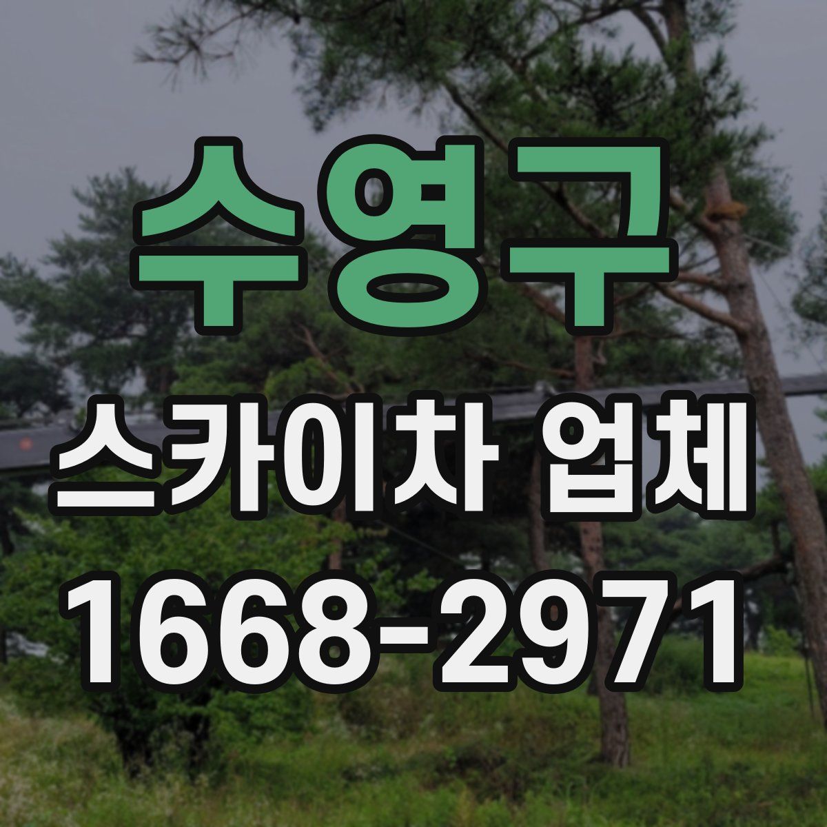 수영구 스카이차 업체