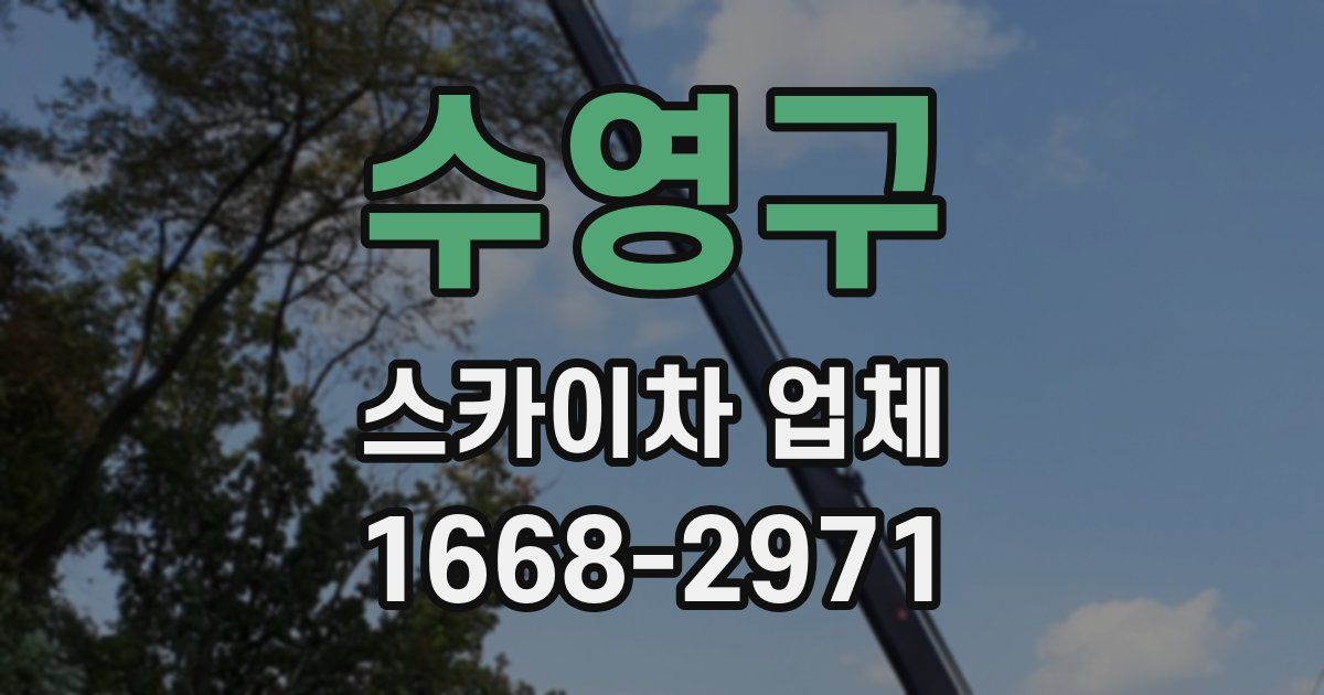수영구 스카이차 업체