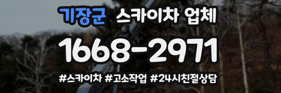 기장군 스카이차 업체
