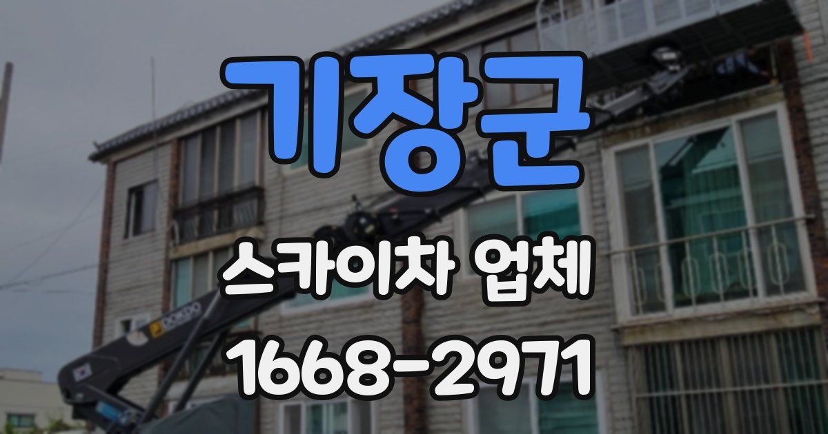 기장군 스카이차 업체