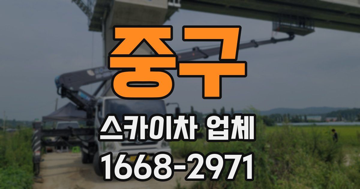중구 스카이차 업체