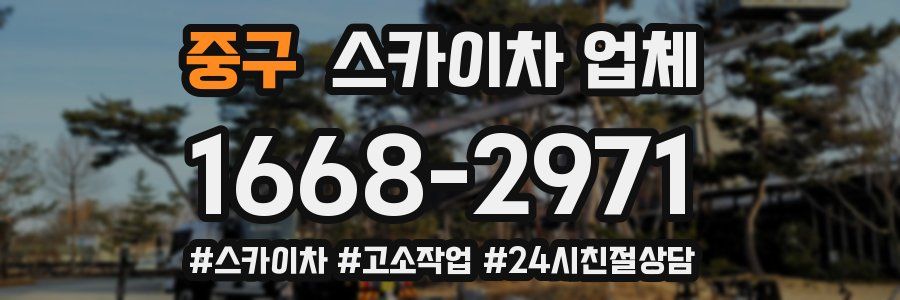 중구 스카이차 업체