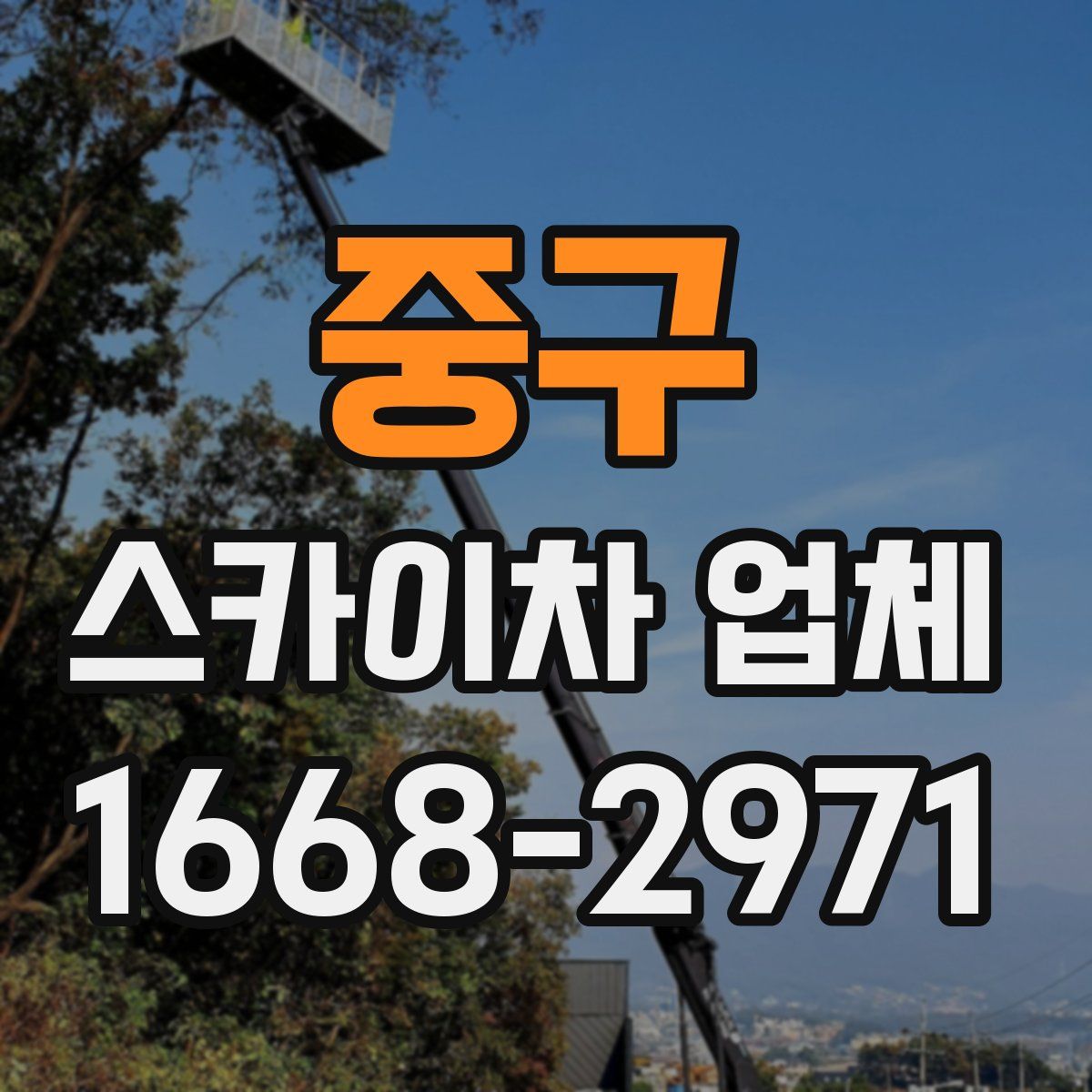 중구 스카이차 업체