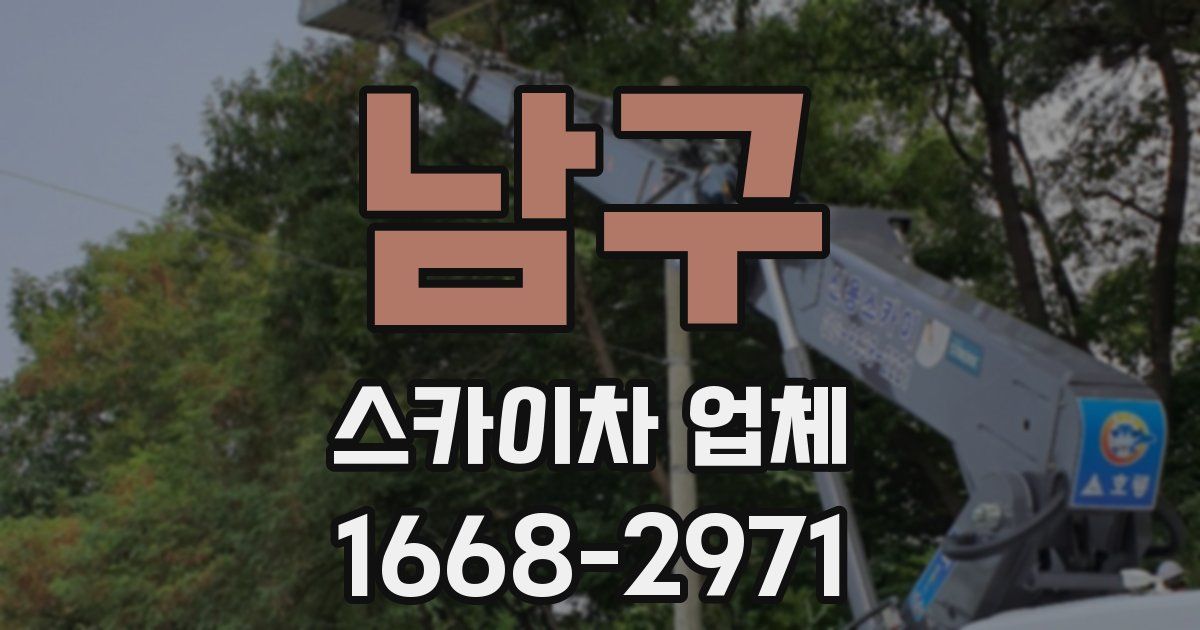 남구 스카이차 업체
