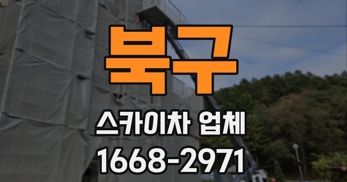 북구 스카이차 업체
