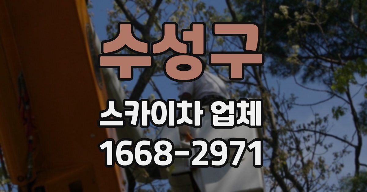 수성구 스카이차 업체