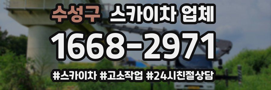 수성구 스카이차 업체