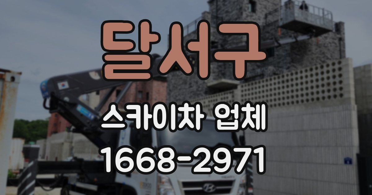 달서구 스카이차 업체