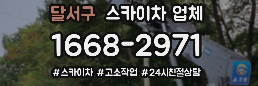 달서구 스카이차 업체
