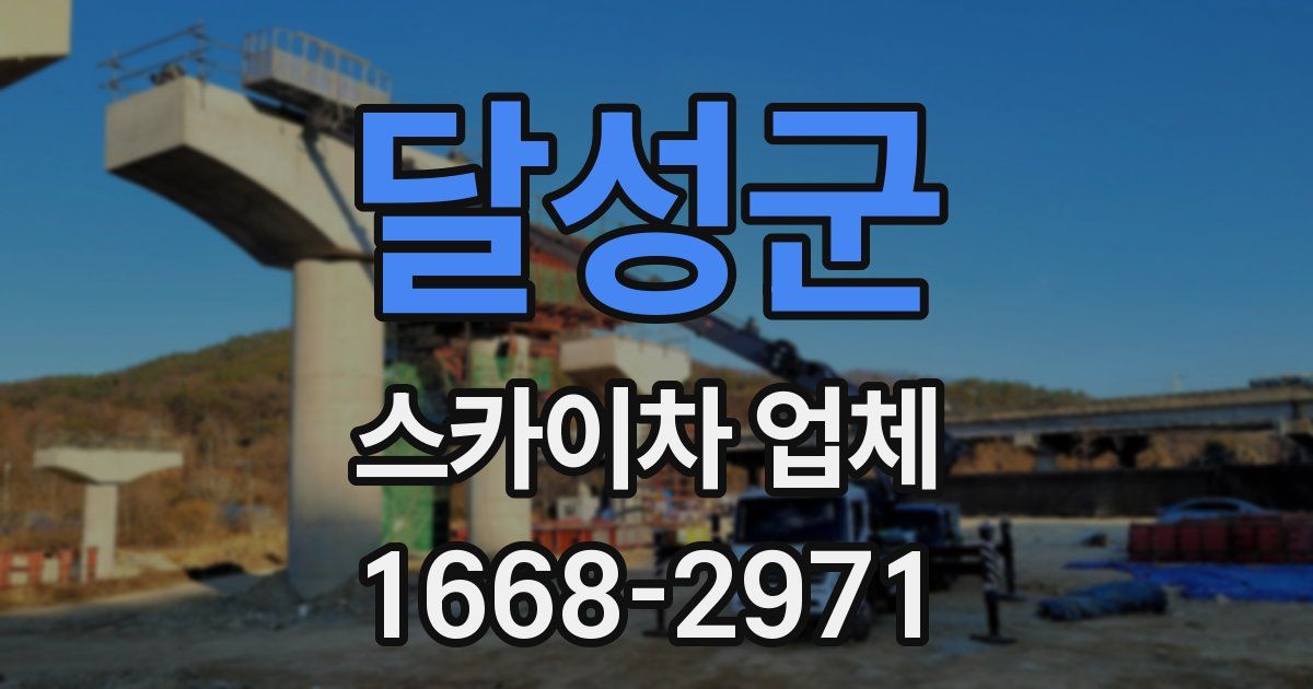 달성군 스카이차 업체