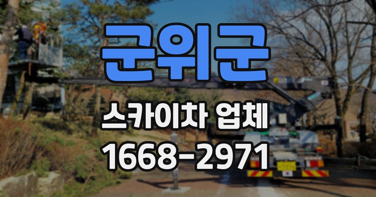 군위군 스카이차 업체