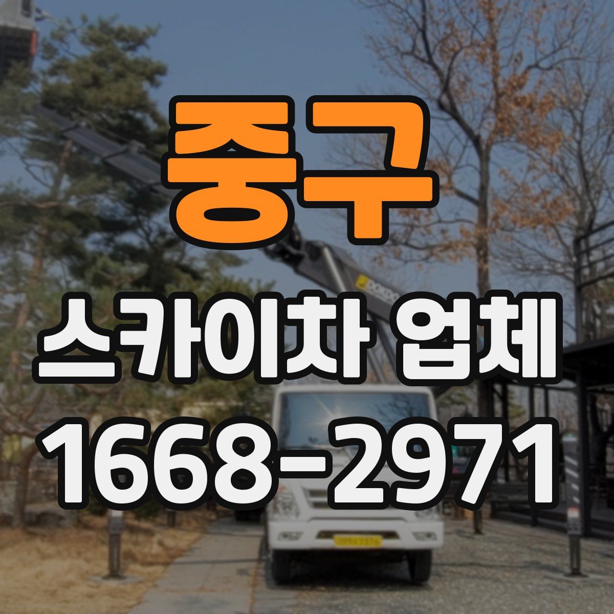중구 스카이차 업체