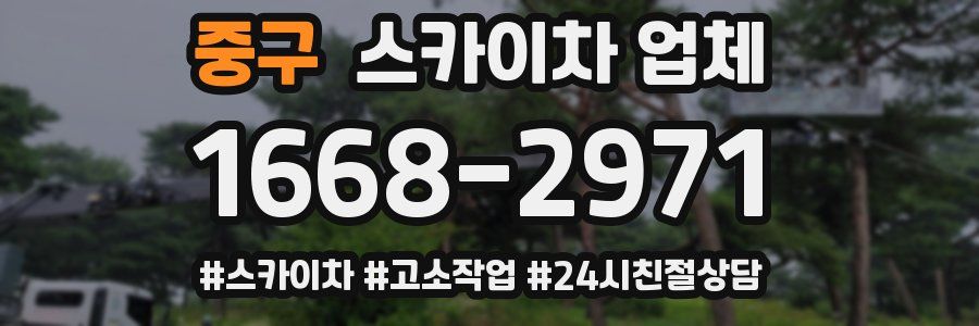 중구 스카이차 업체