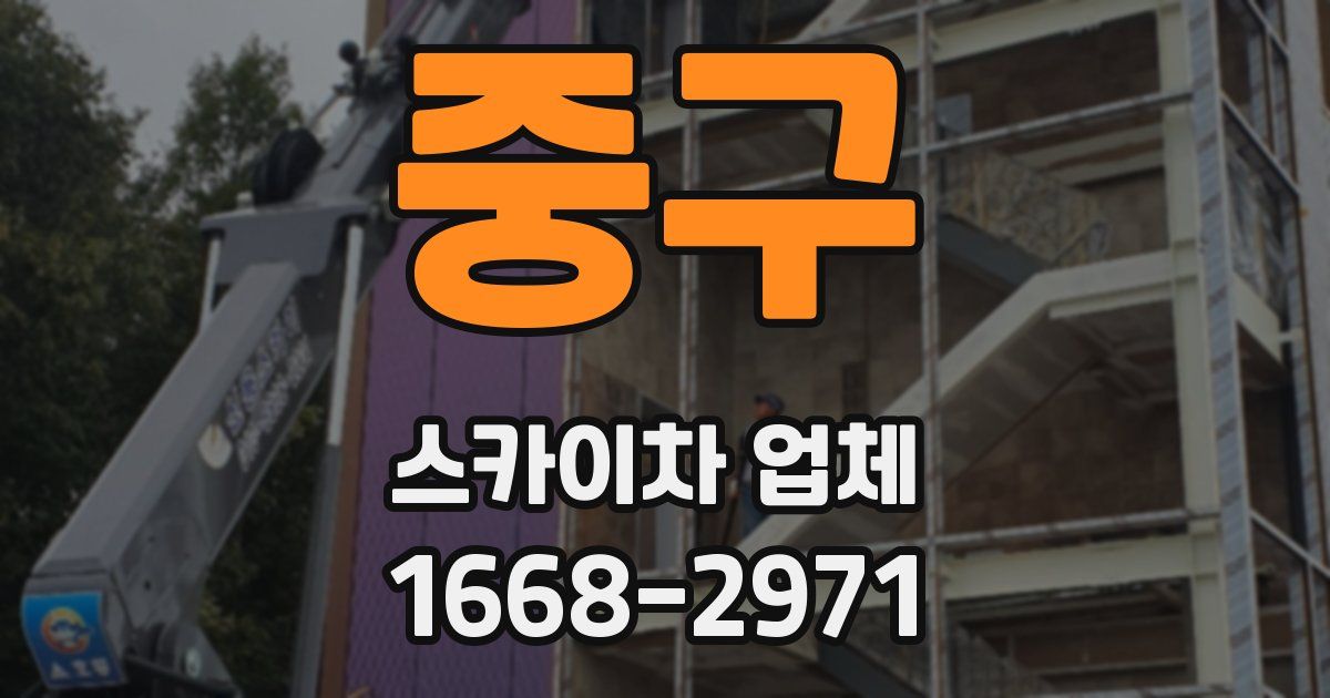중구 스카이차 업체