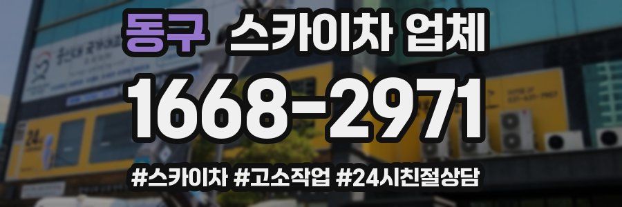 동구 스카이차 업체