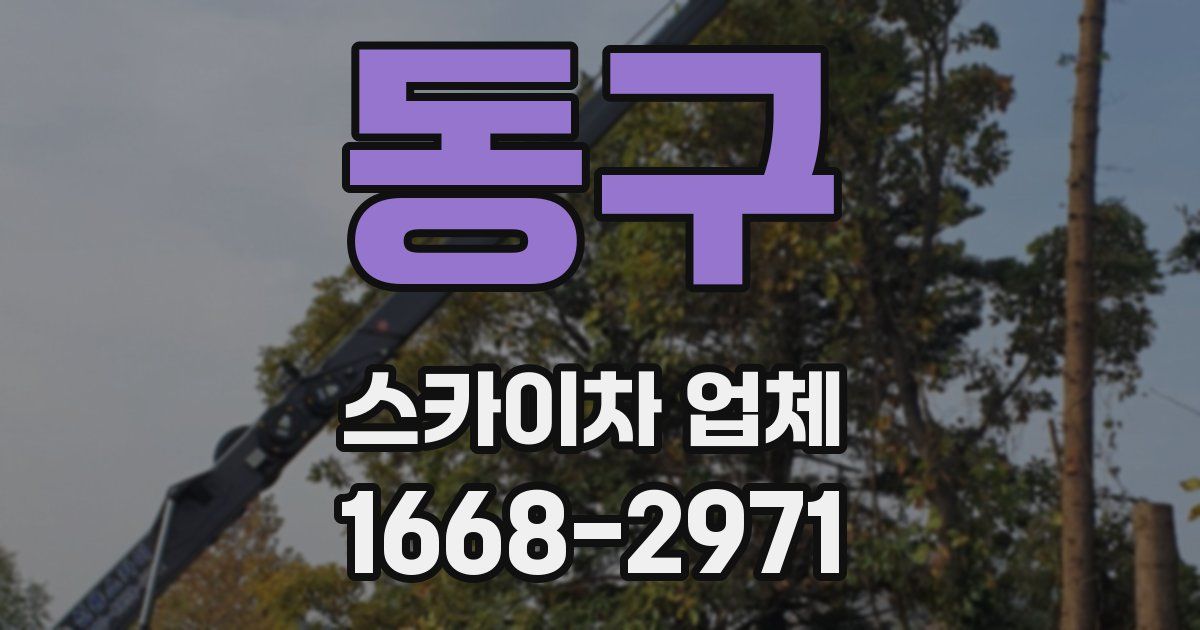 동구 스카이차 업체