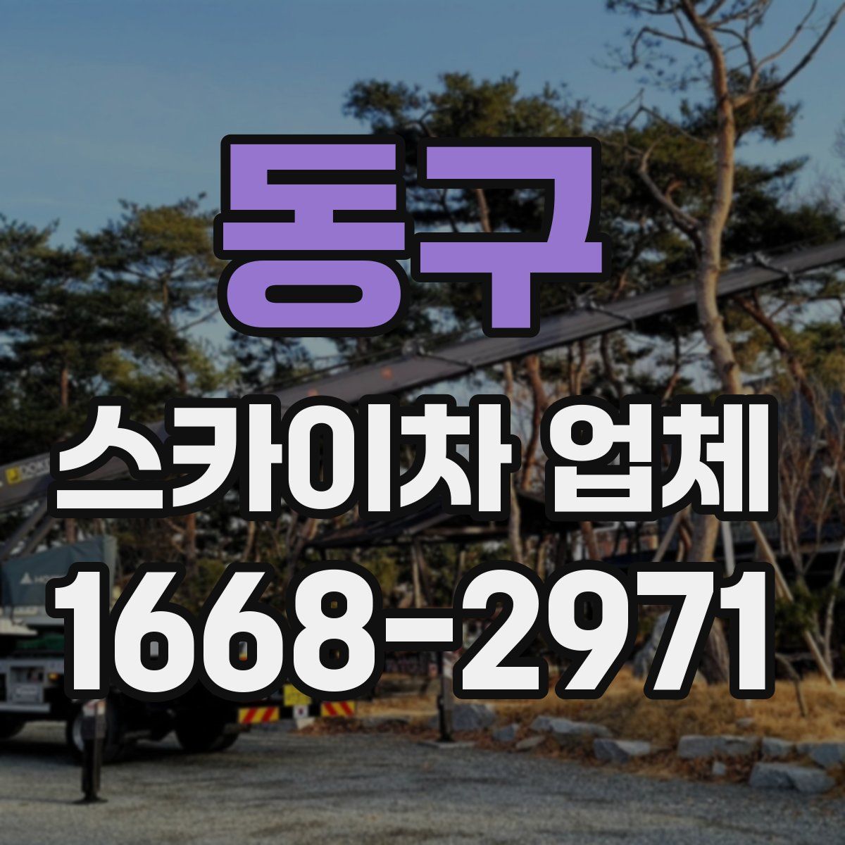 동구 스카이차 업체
