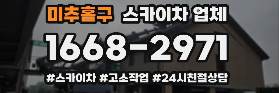 미추홀구 스카이차 업체
