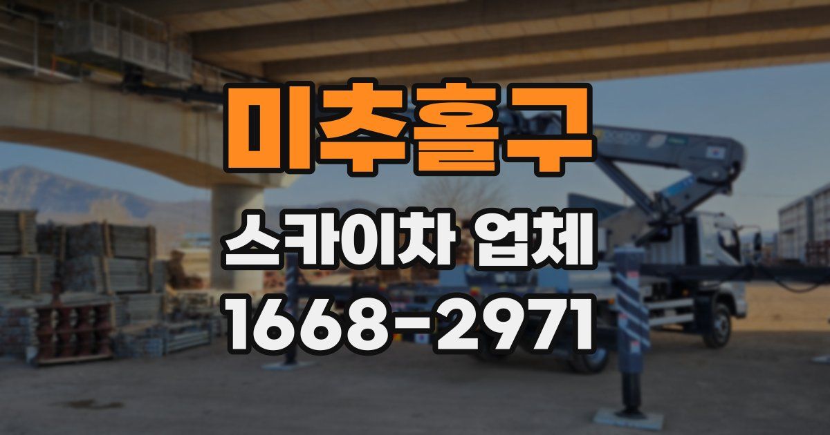 미추홀구 스카이차 업체