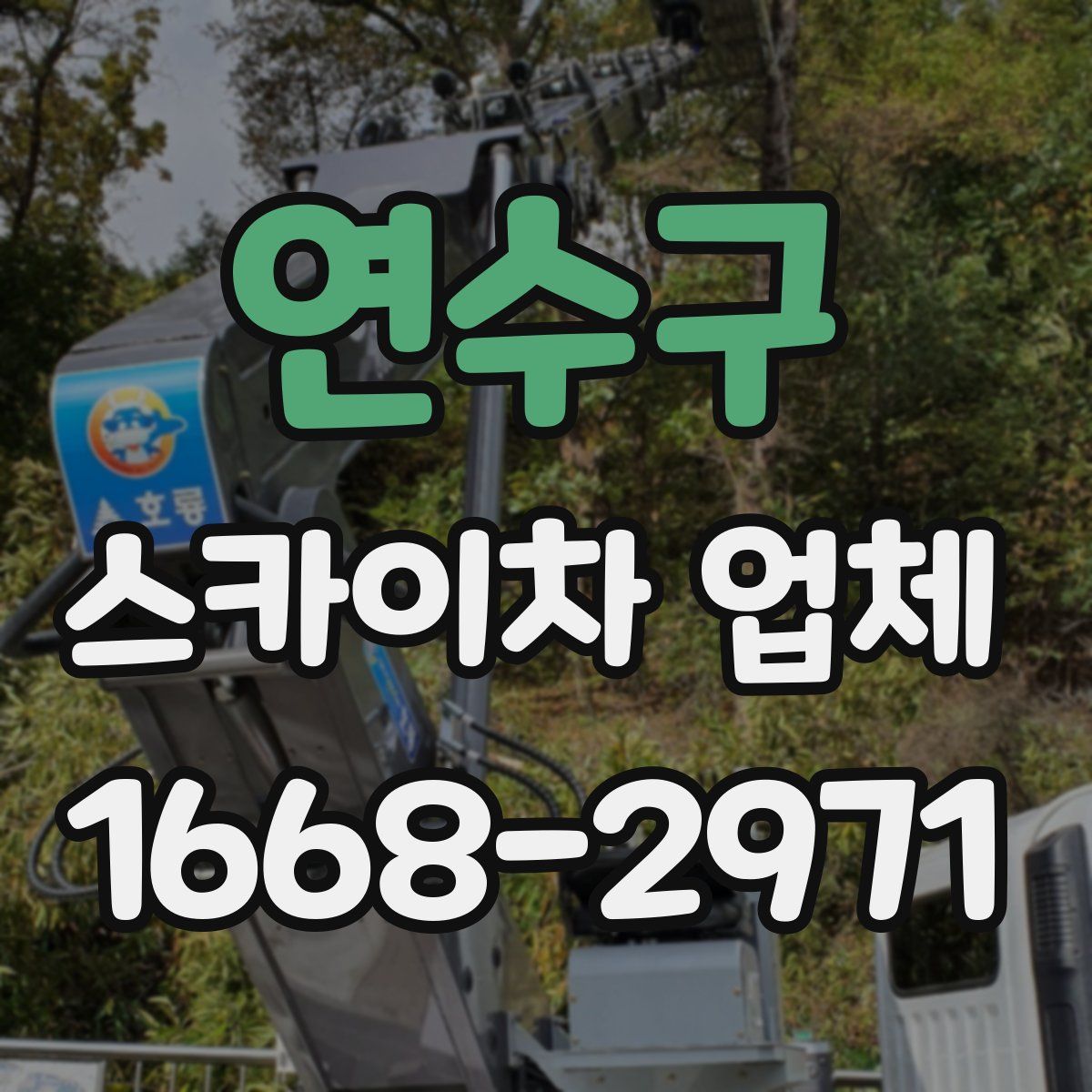 연수구 스카이차 업체