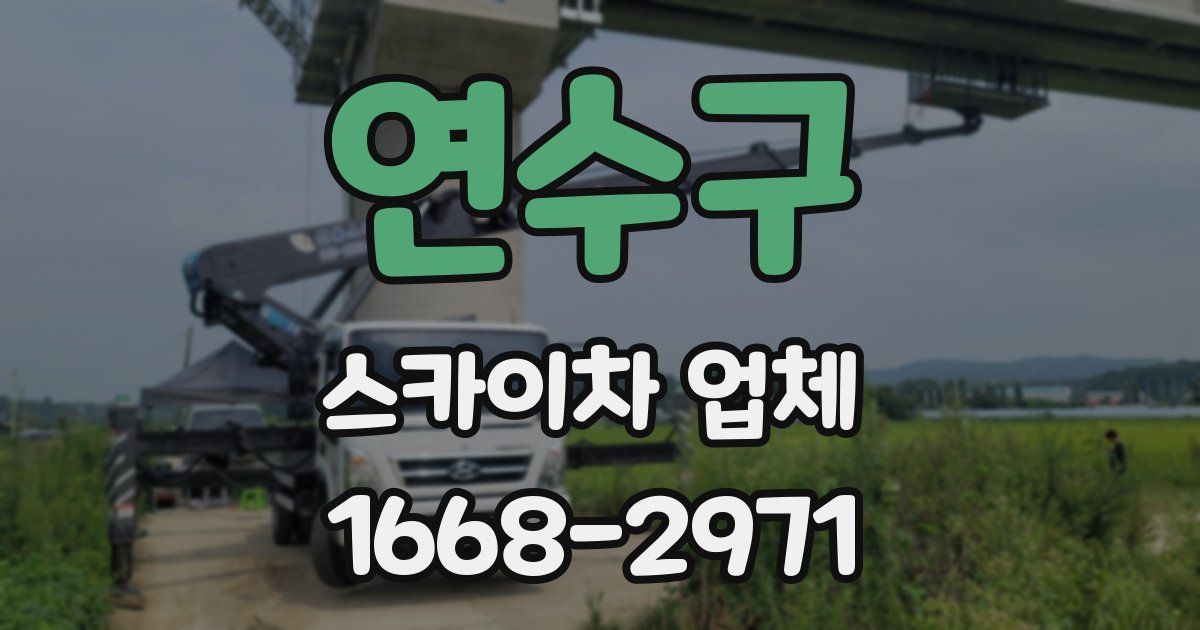 연수구 스카이차 업체
