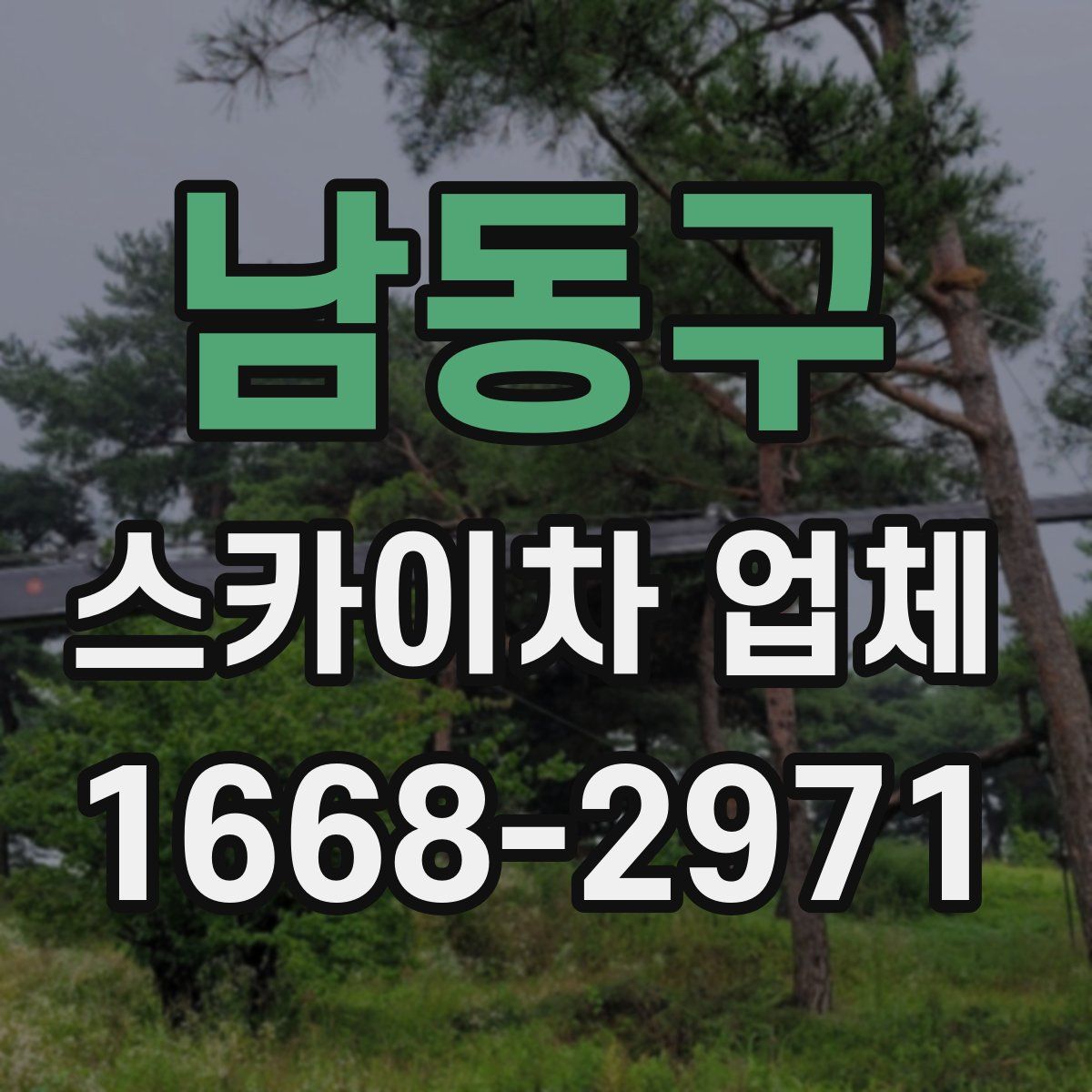 남동구 스카이차 업체