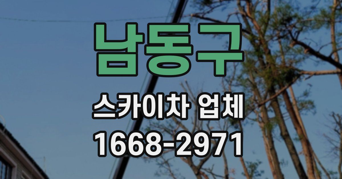 남동구 스카이차 업체