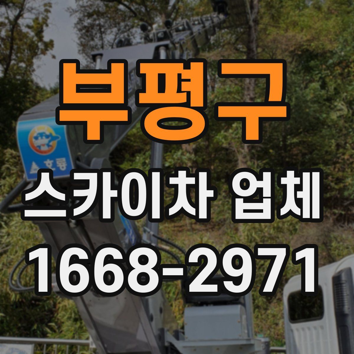 부평구 스카이차 업체