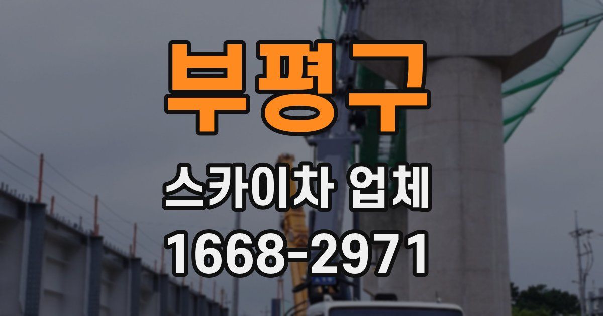 부평구 스카이차 업체