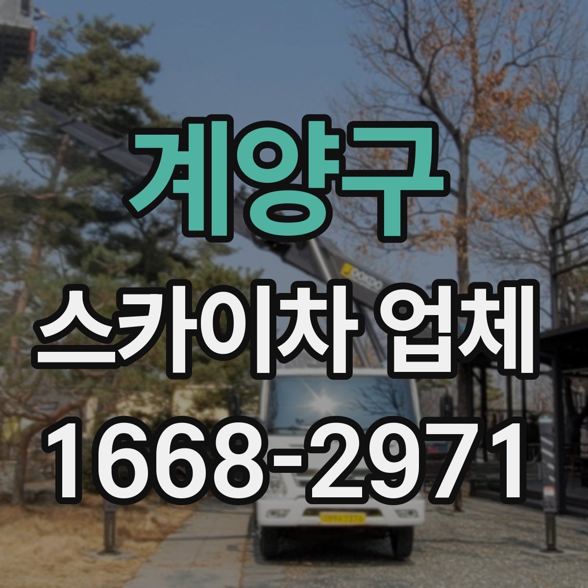 계양구 스카이차 업체