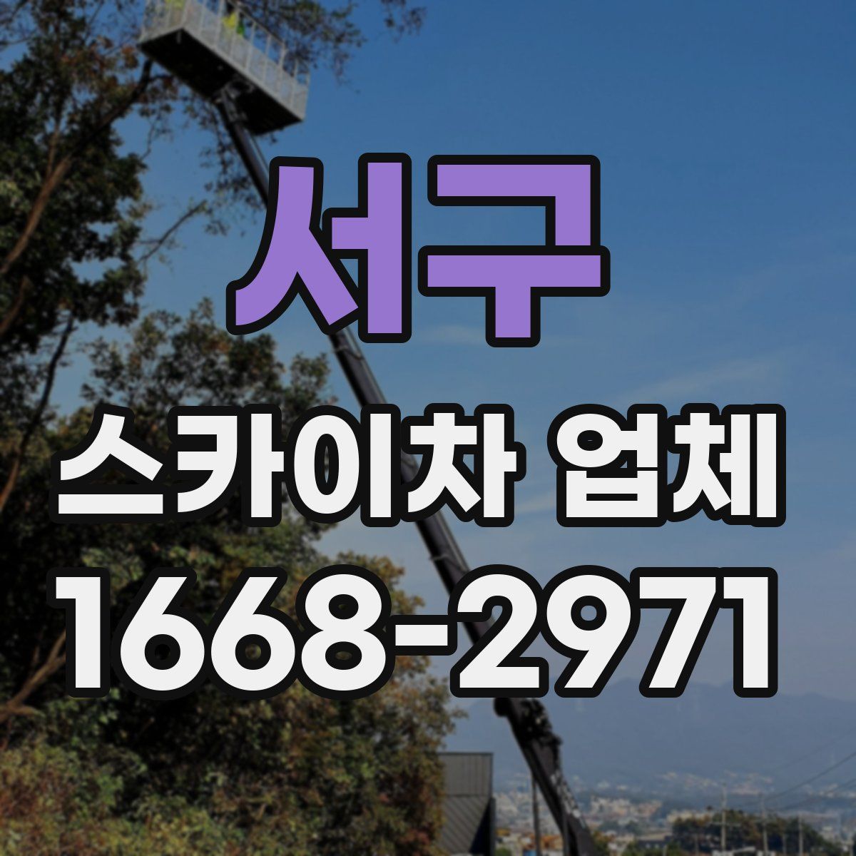 서구 스카이차 업체