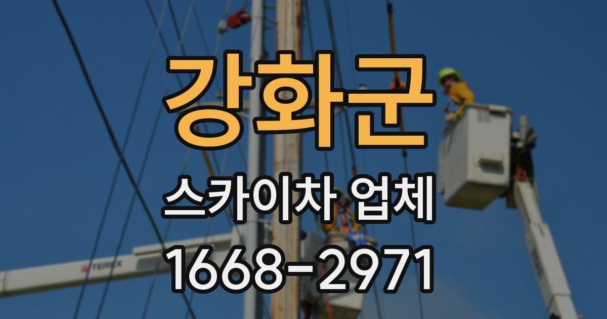 강화군 스카이차 업체