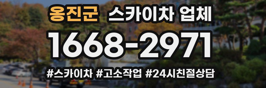옹진군 스카이차 업체