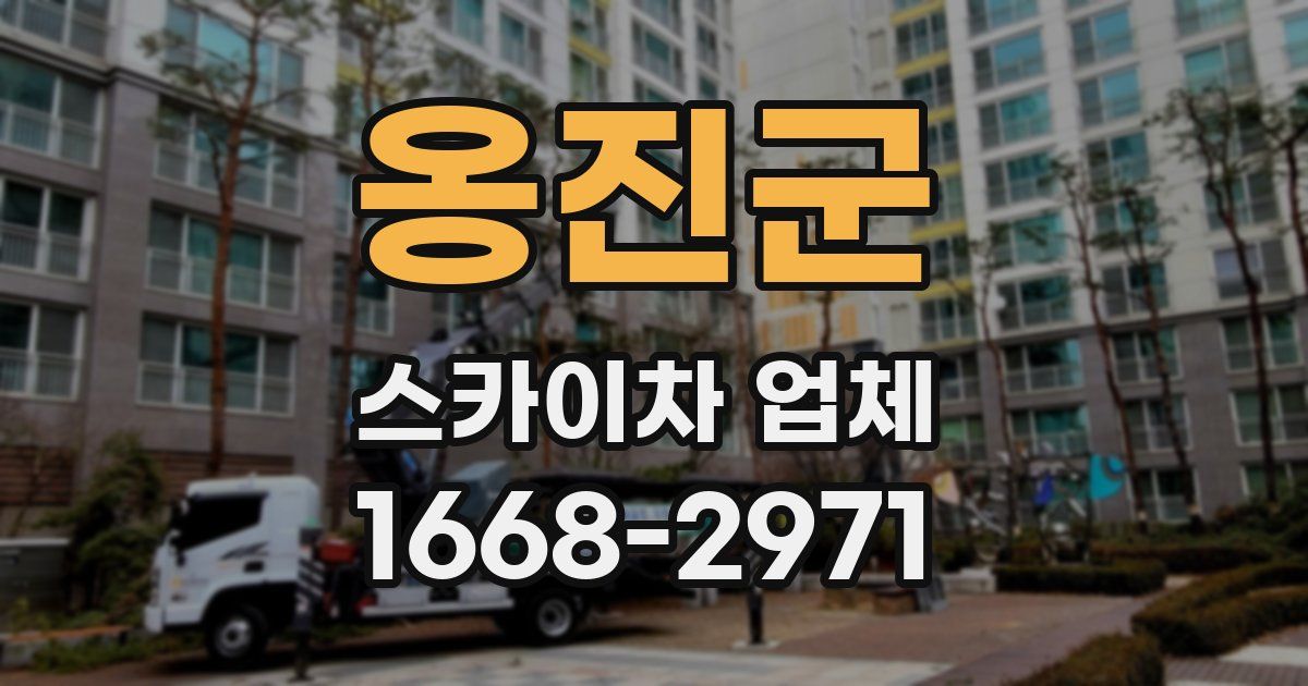 옹진군 스카이차 업체