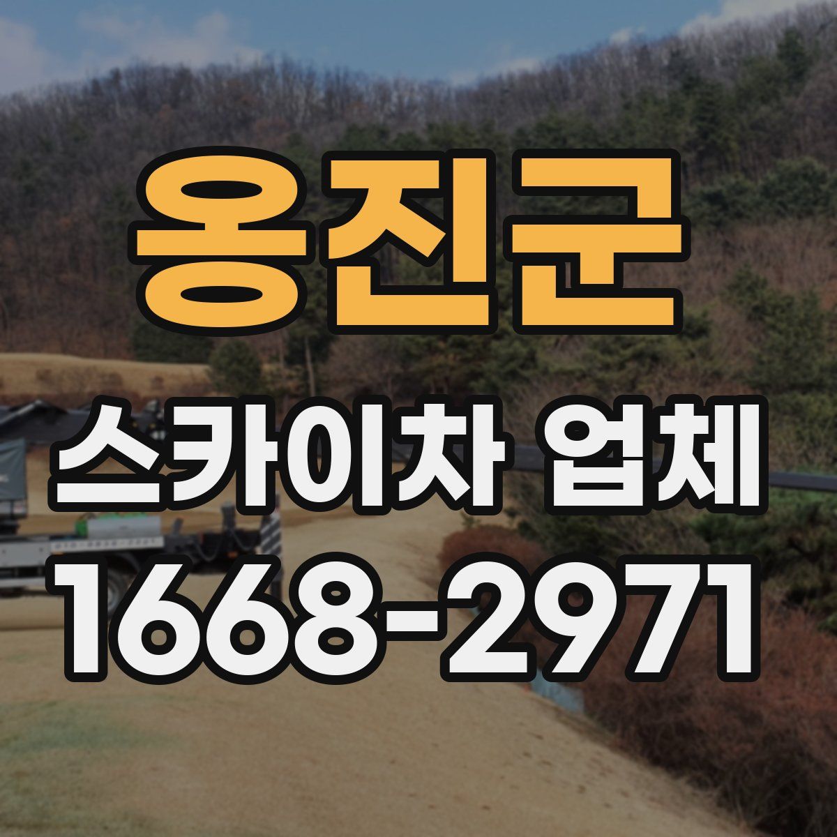 옹진군 스카이차 업체