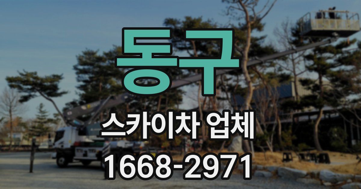 동구 스카이차 업체