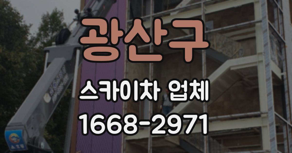 광산구 스카이차 업체