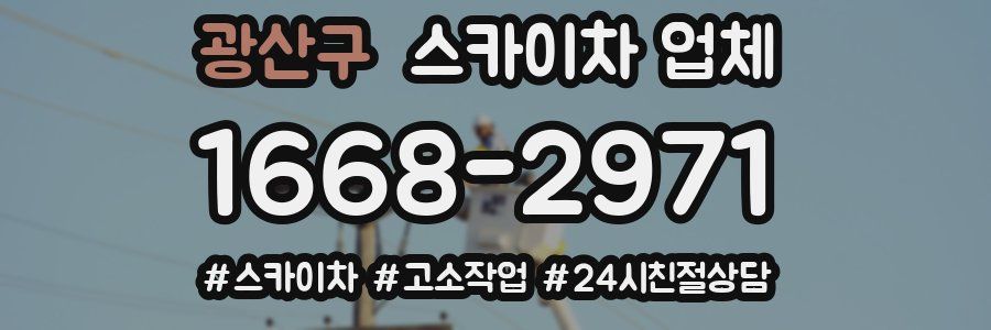 광산구 스카이차 업체