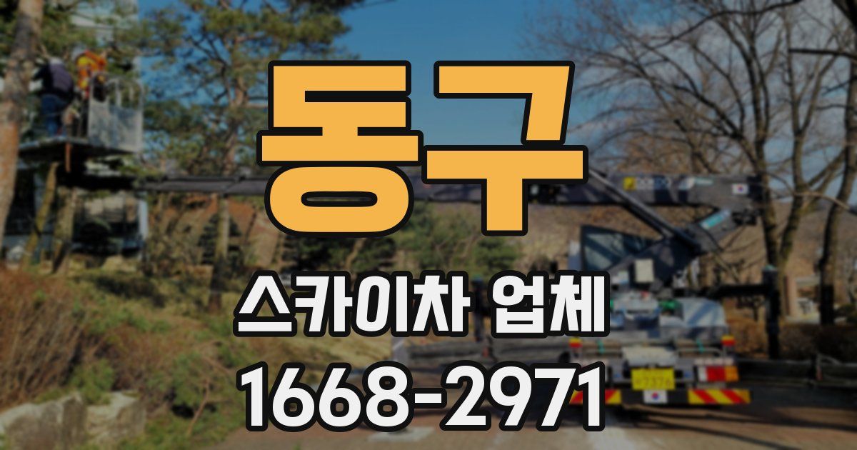 동구 스카이차 업체