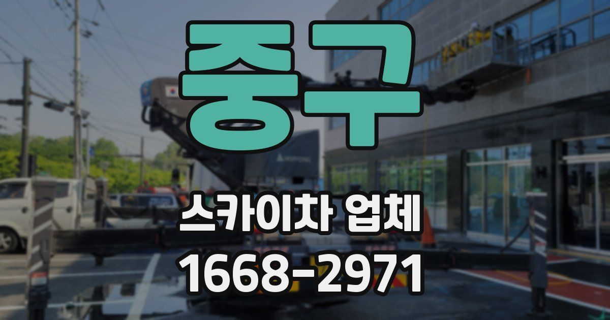 중구 스카이차 업체