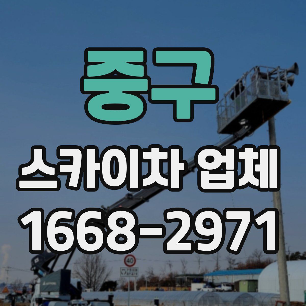 중구 스카이차 업체