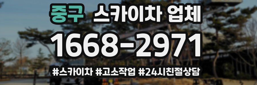중구 스카이차 업체