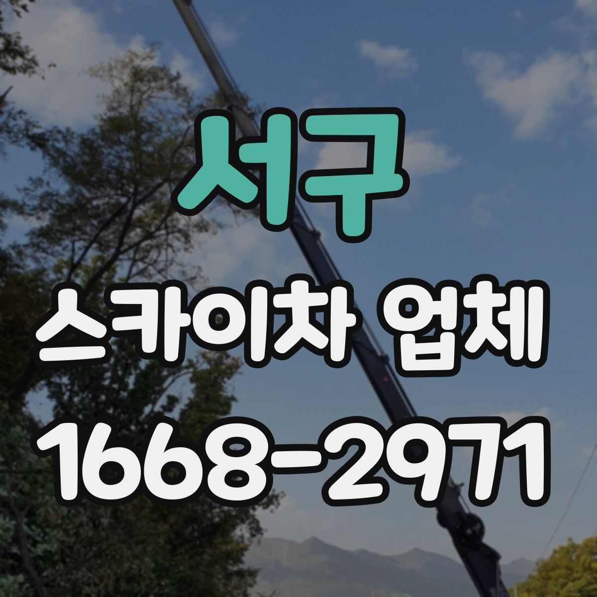 서구 스카이차 업체