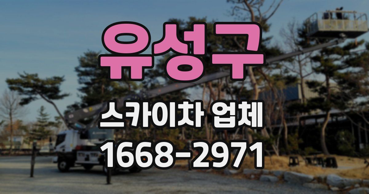 유성구 스카이차 업체