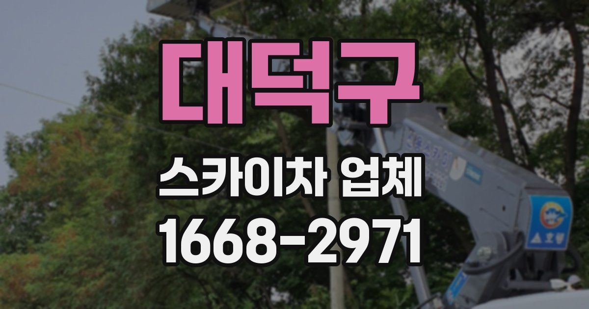 대덕구 스카이차 업체